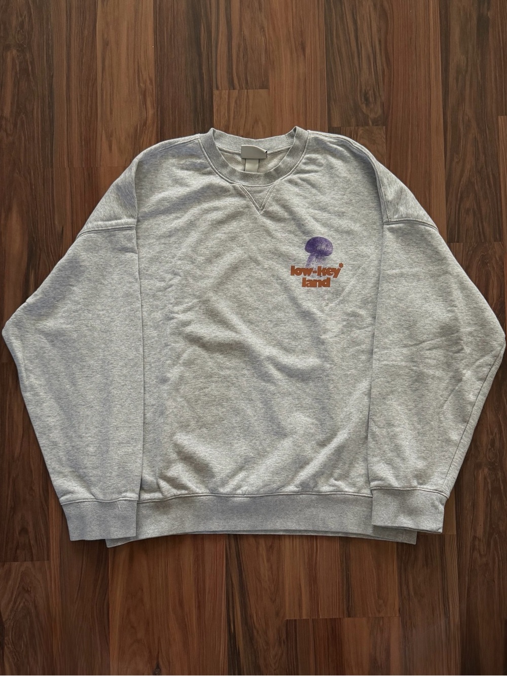 H&M Light Gray Crewneck Sweatshirt with Purple Mushroom and Orange Text